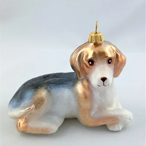 GMC Hübscher Mischling Hund