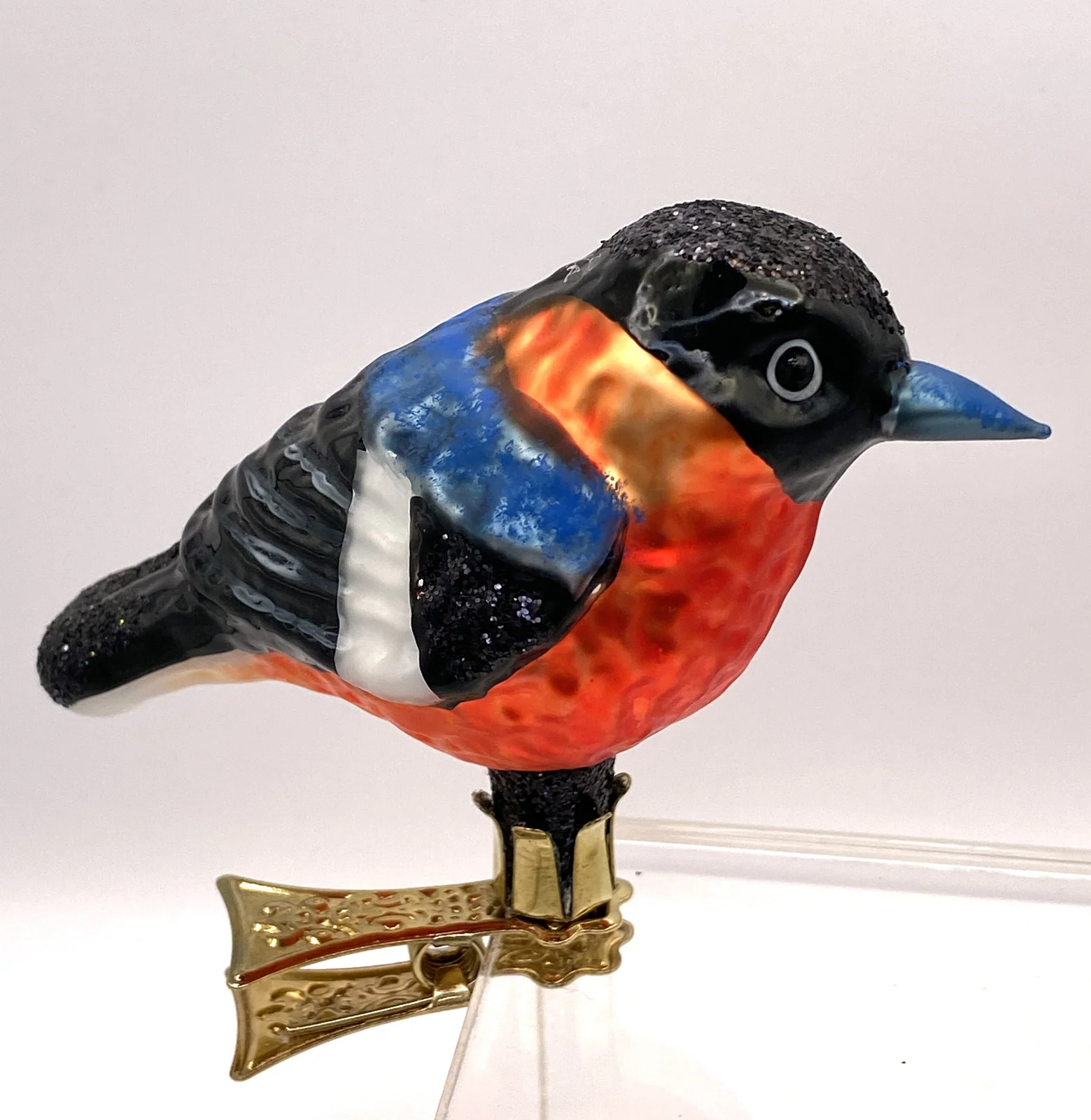 Wiktoria Gimpel oder Dompfaff auf Clip