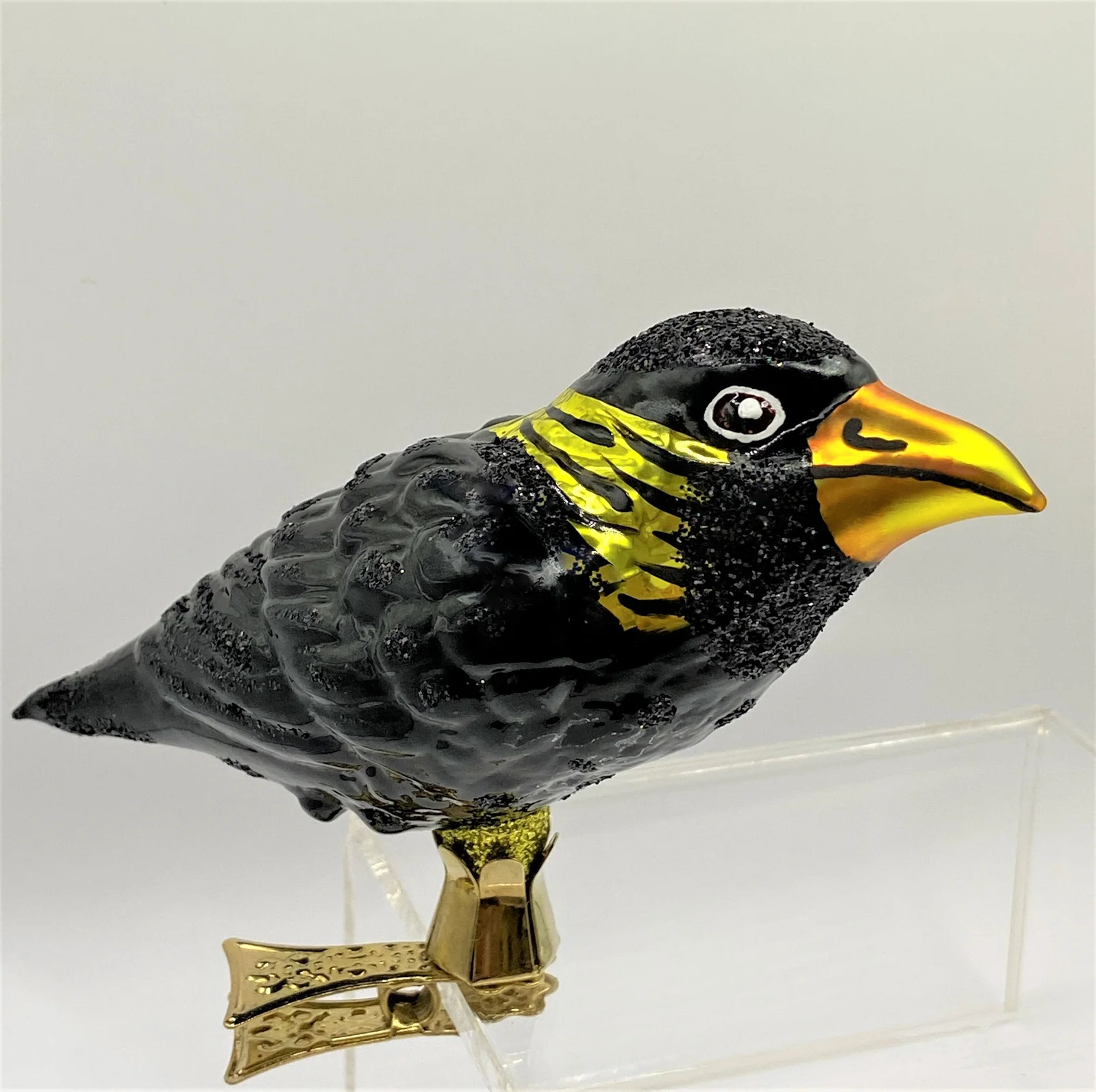 Wiktoria Krähe oder Amsel auf Clip