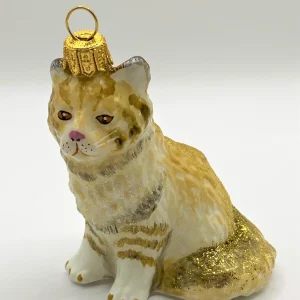 Impuls Süsse Waldkatze