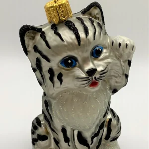 Impuls Süsse junge Tiger-Katze