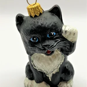 Impuls Süsse junge schwarze Katze