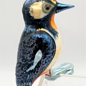 Oberfränkische Bunt-Specht auf Clip