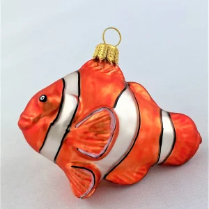 GMC Clownfisch, Anemonenfisch