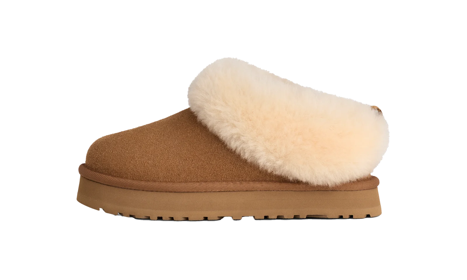 Tazzelle GS "Chestnut" 1171198K CHE