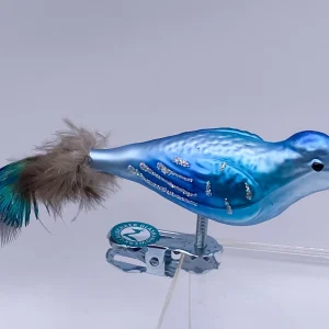 Thüringer Blauer Vogel