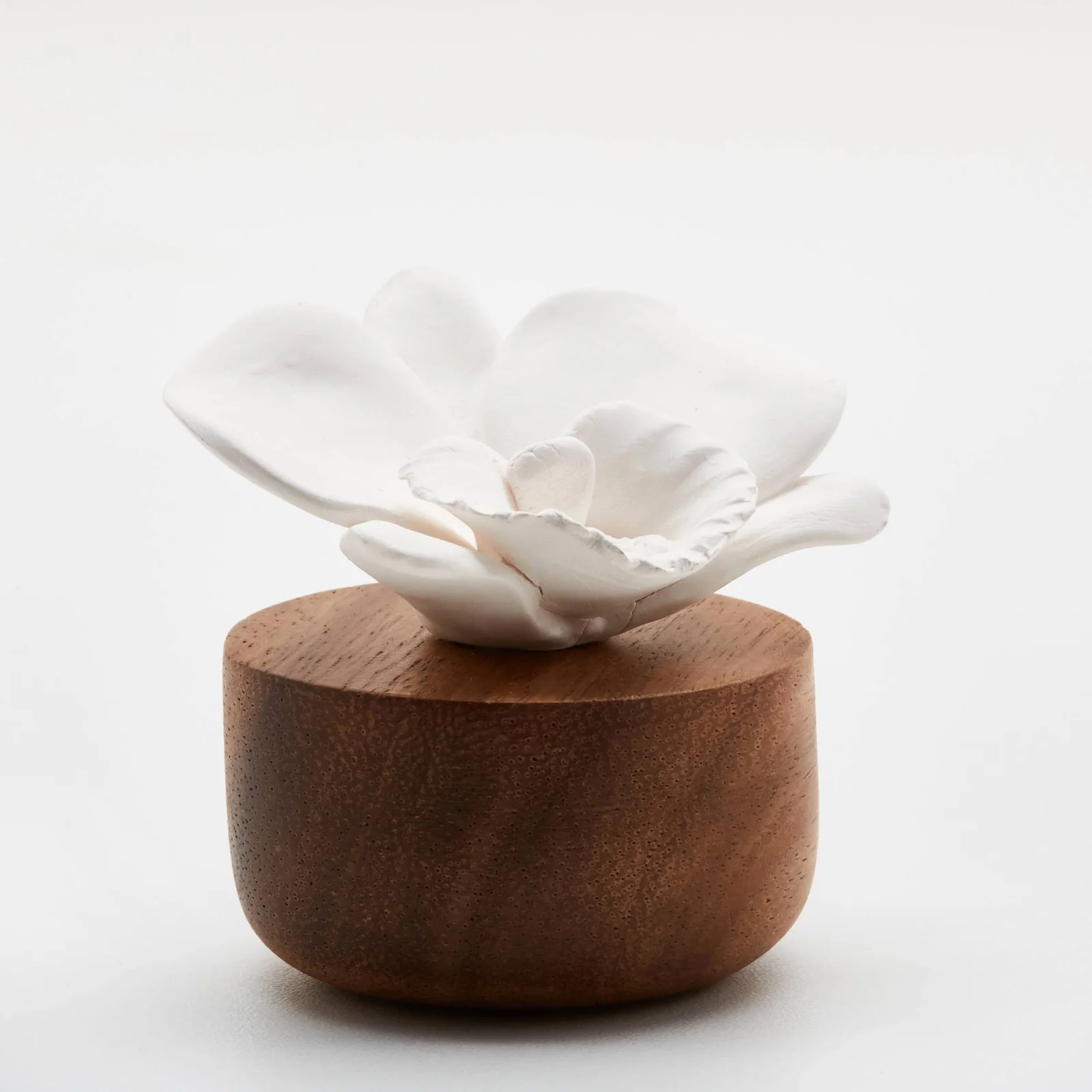 Anoq - 4Home Creation Duftdiffusor - Orchideenblüte
