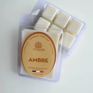 L'Échoppe Buissonnière Amber – Duftwachsschmelze 70 g