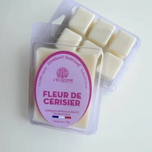 L'Échoppe Buissonnière Cherry Blossom – Duft-Wachsschmelz 70 g
