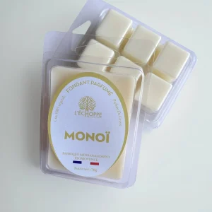 L'Échoppe Buissonnière Monoï - Duftwachs Schmelz 70 g