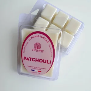 L'Échoppe Buissonnière Patchouli Duft-Wachs Schmelzer 70 g