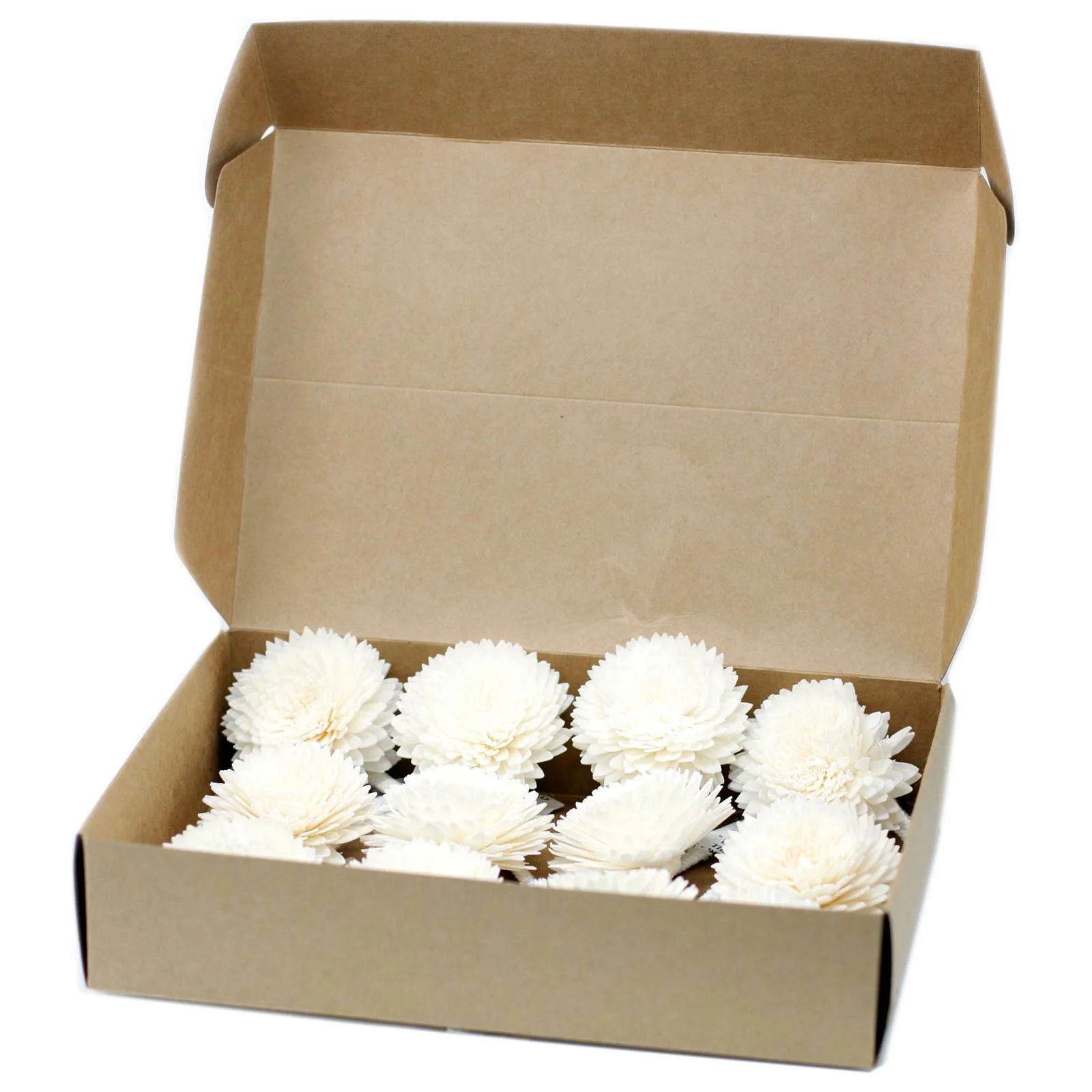 AWGifts Europe Natural Diffuser Flowers - Nelke an Schnur