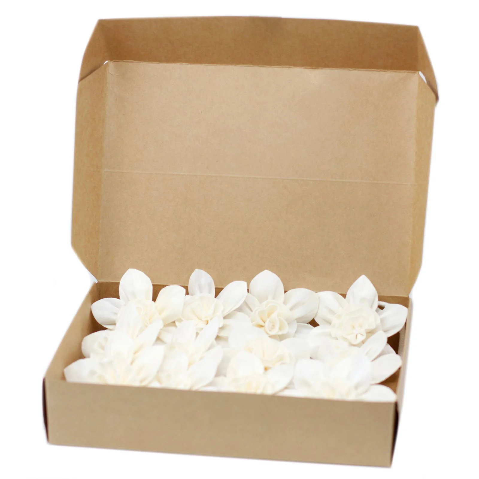 AWGifts Europe Natural Diffuser Flowers - Große Lilie auf Schnur
