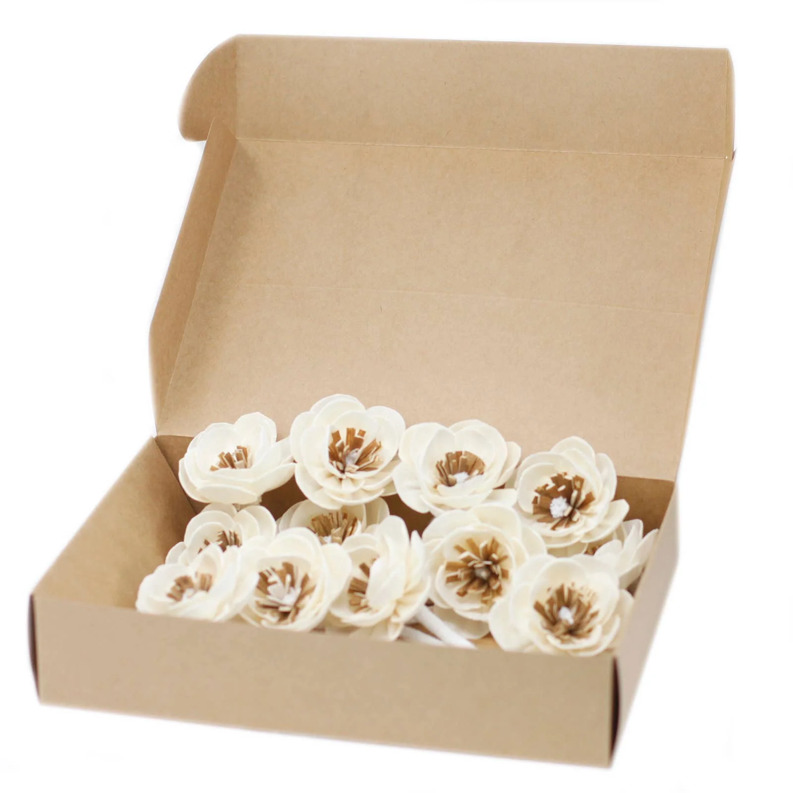 AWGifts Europe Natürliche Diffuser-Blumen - Kleine Mohnblume an Schnur