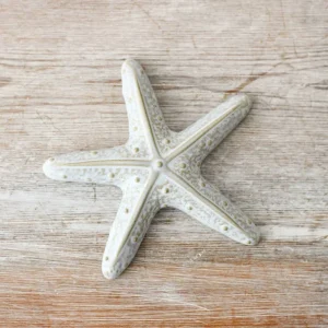 Gainsborough Giftware x Portland Living Porzellan-Seestern, 10 cm