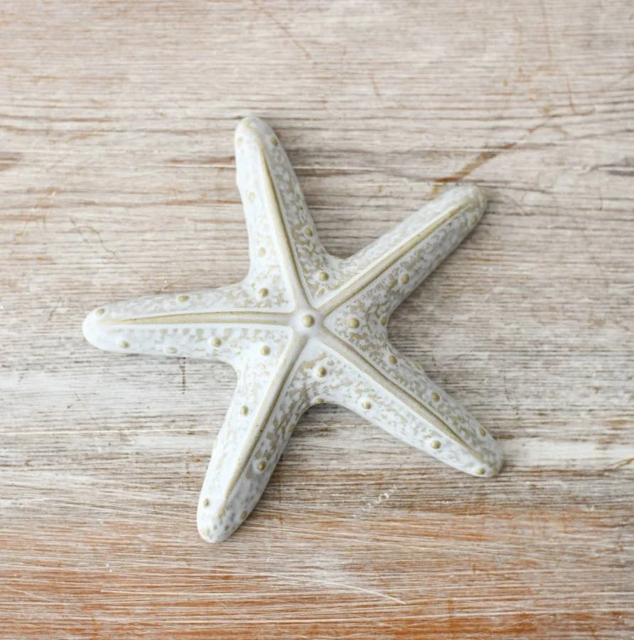 Gainsborough Giftware x Portland Living Porzellan-Seestern, 10 cm