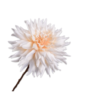 Dahlia Seidenblume offwhite, 65 cm