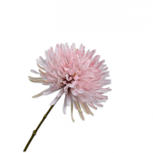Silk-ka, Chrysantheme-Zweig rosa, 62 cm