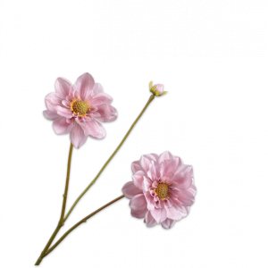 Silk-ka, Dahlie rosa, 75 cm