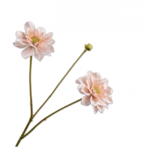 Silk-ka, Dahlie-Zweig apricot, 75 cm