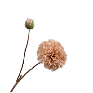 Silk-ka, Dahlienzweig champagner, 60 cm
