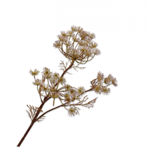 Silk-ka, Dillzweig rosa, 82 cm