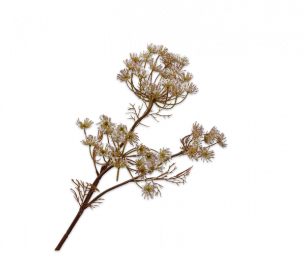 Silk-ka, Dillzweig rosa, 82 cm