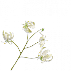 Silk-ka Gloriosa Zweig, 89 cm