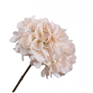 Silk-ka, Hortensie rosé, 50 cm
