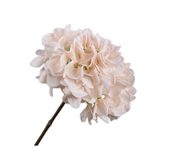 Silk-ka, Hortensie rosé, 50 cm