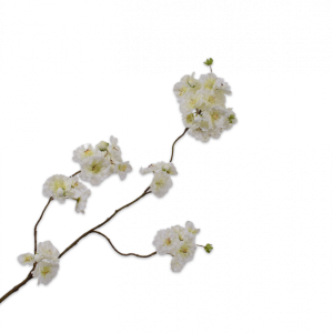 Silk-ka, Kirschblütenzweig creme, 116 cm