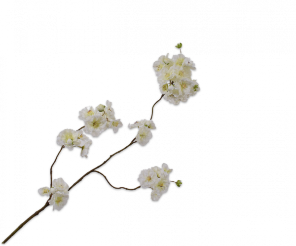 Silk-ka, Kirschblütenzweig creme, 116 cm
