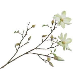 Silk-ka Magnolienzweig, Weiss