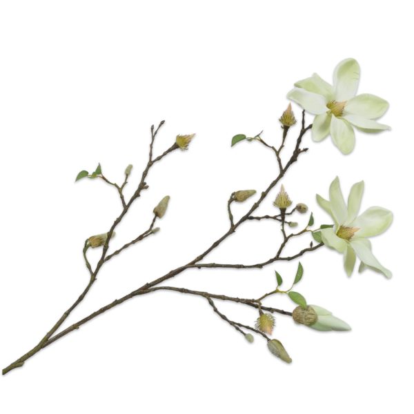 Silk-ka Magnolienzweig, Weiss