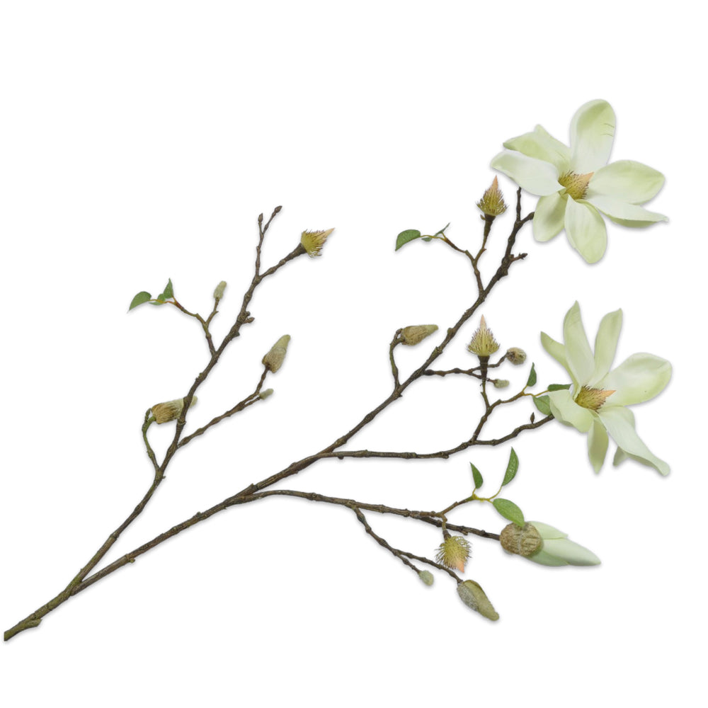 Silk-ka Magnolienzweig, Weiss