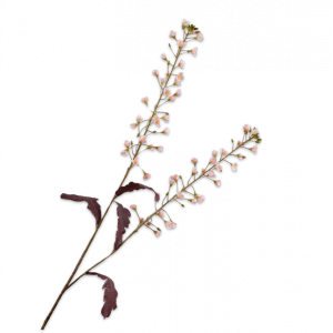 Silk-ka, Primula-Zweig rosa, 85 cm