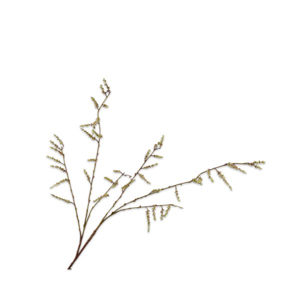 Silk-ka Weidenzweig