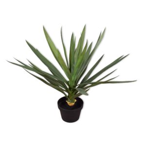 Silk-ka Yucca-Palme im Topf